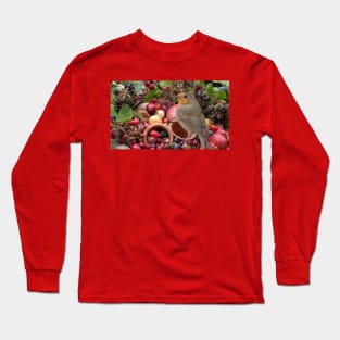 festive robin Long Sleeve T-Shirt